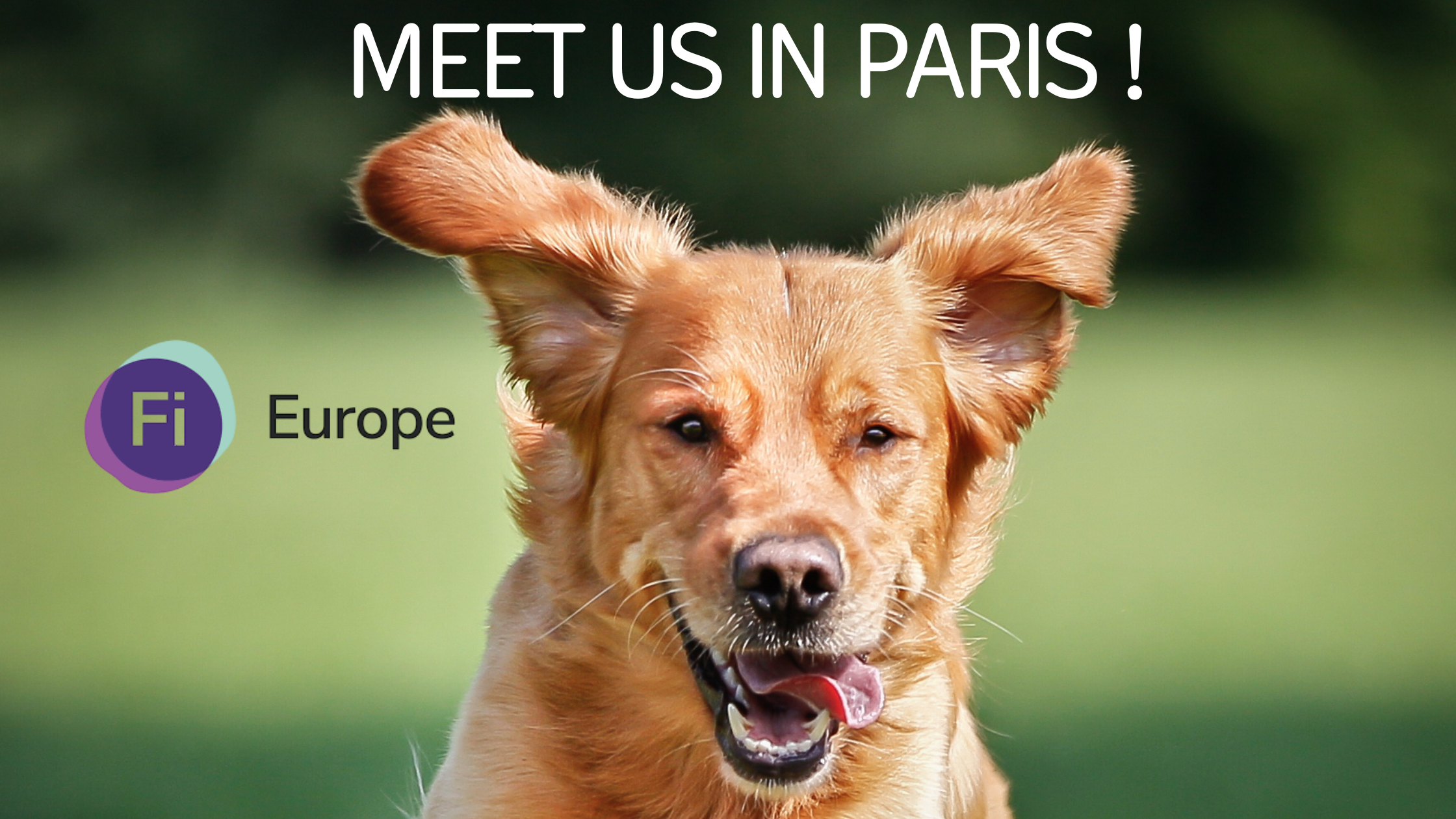 Promotion for the Fi Europe exhibition featuring a cheerful dog and the text 'MEET US IN PARIS !
